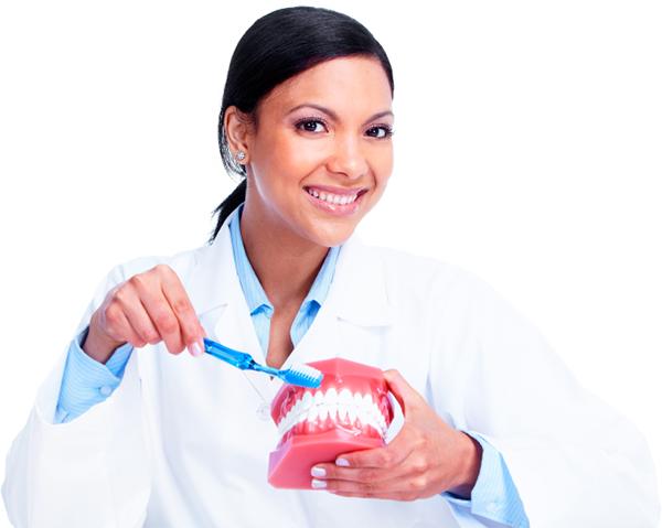Discover Everything You Need For Optimal Oral Health - Dentist Png (600x479), Png Download