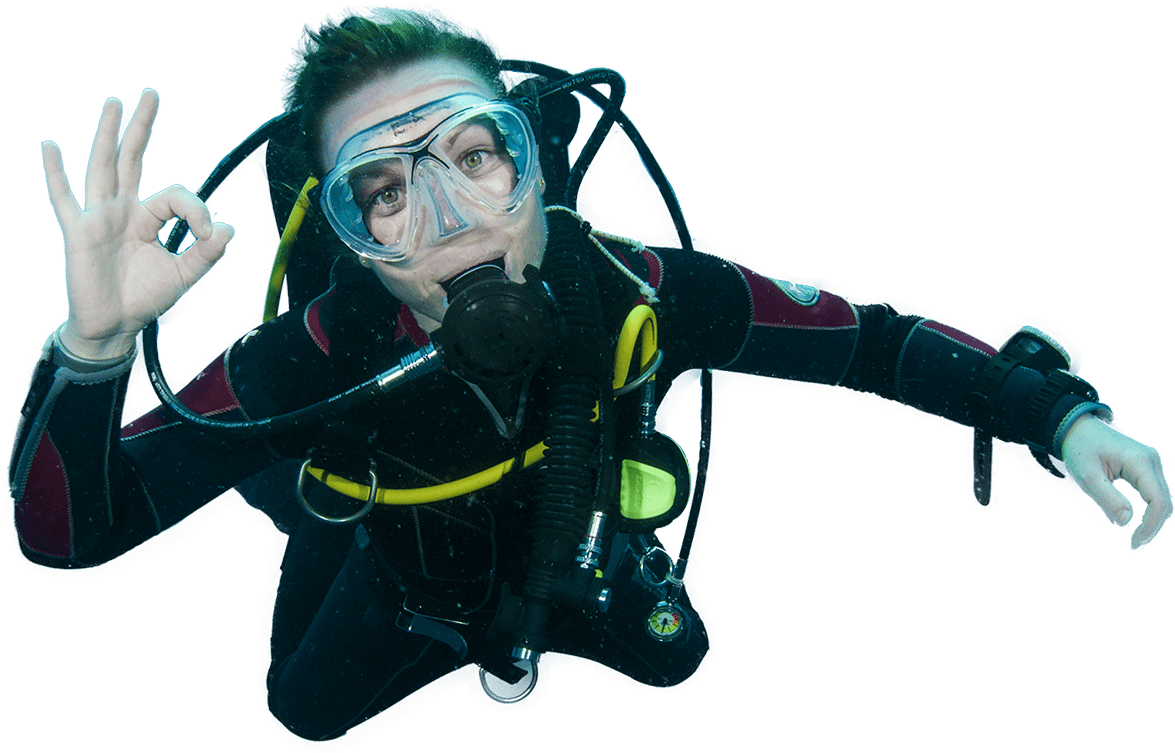 Scuba Diving Png Image Transparent - Diver Transparent (1204x783), Png Download
