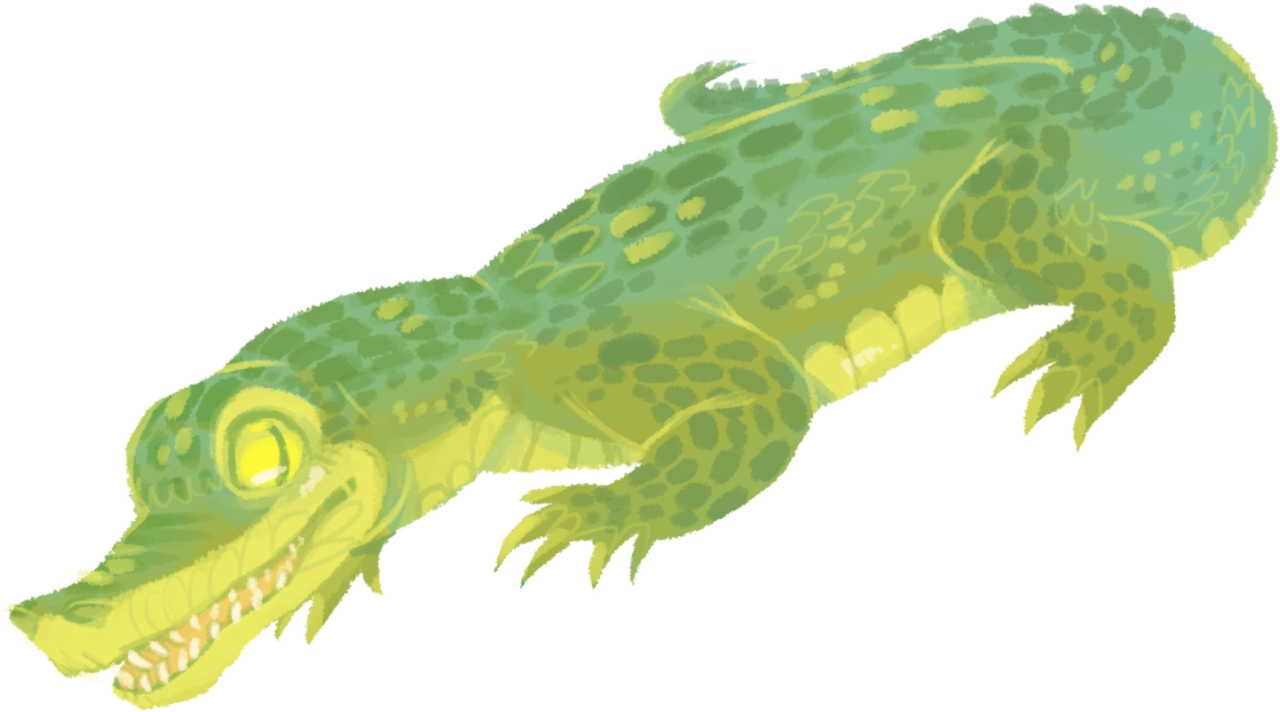 Illustration My Art Alligator Artist Illustrations - Gharial (1280x712), Png Download