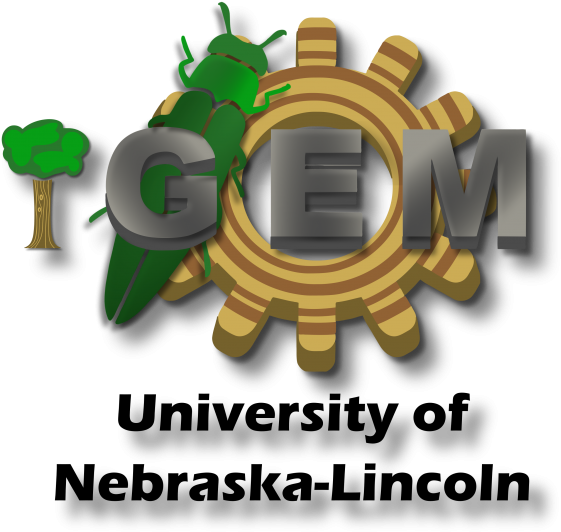 Team - Lincoln (633x599), Png Download