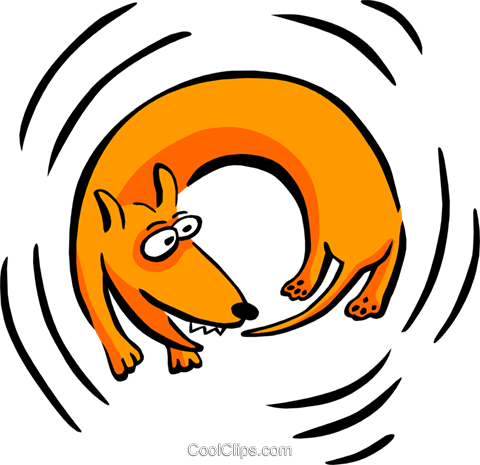Dog Chasing His Tail Royalty Free Vector Clip Art Illustration - Dog Catching Its Tail (480x465), Png Download