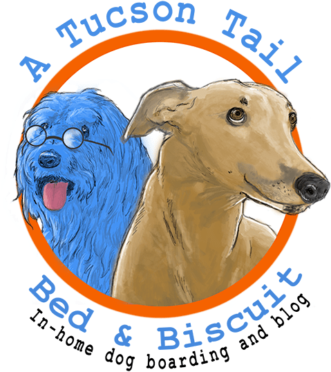 A Tucson Tail Bed & Biscuit - Magyar Agár (500x540), Png Download