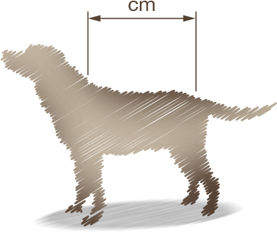 Measure From This Point To Where Your Dogs Tail Joins - Dog (415x360), Png Download