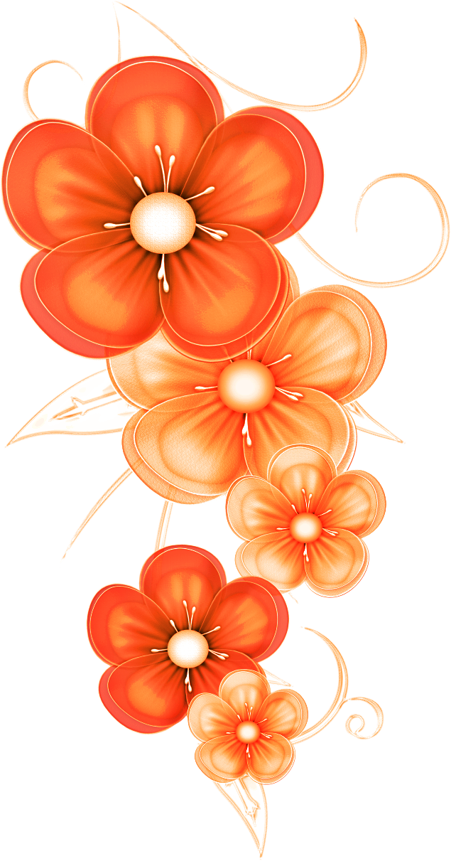 Related Wallpapers - Flowers (635x1211), Png Download