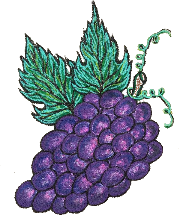 ¿what The Fruta - Seedless Fruit (750x750), Png Download