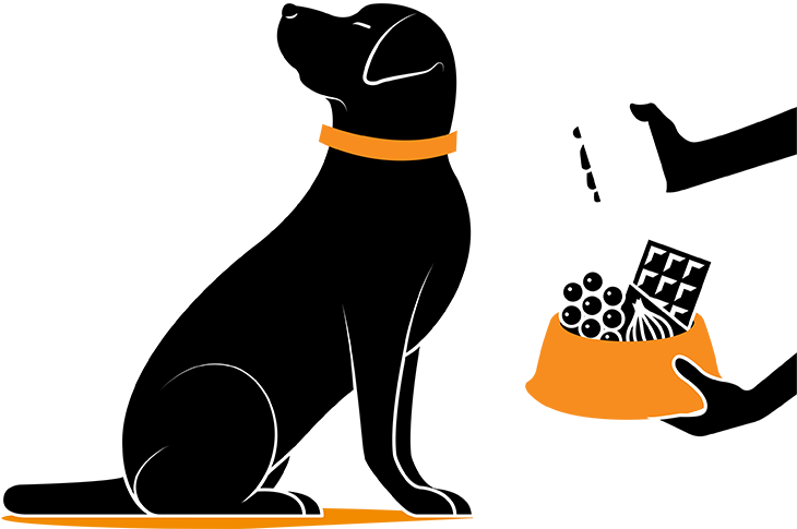 Clipart Transparent De Chiens (730x485), Png Download