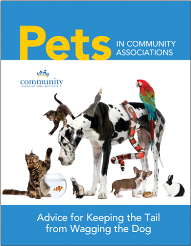 Product Image - Exceptional Names For Extraordinary Pets (500x500), Png Download