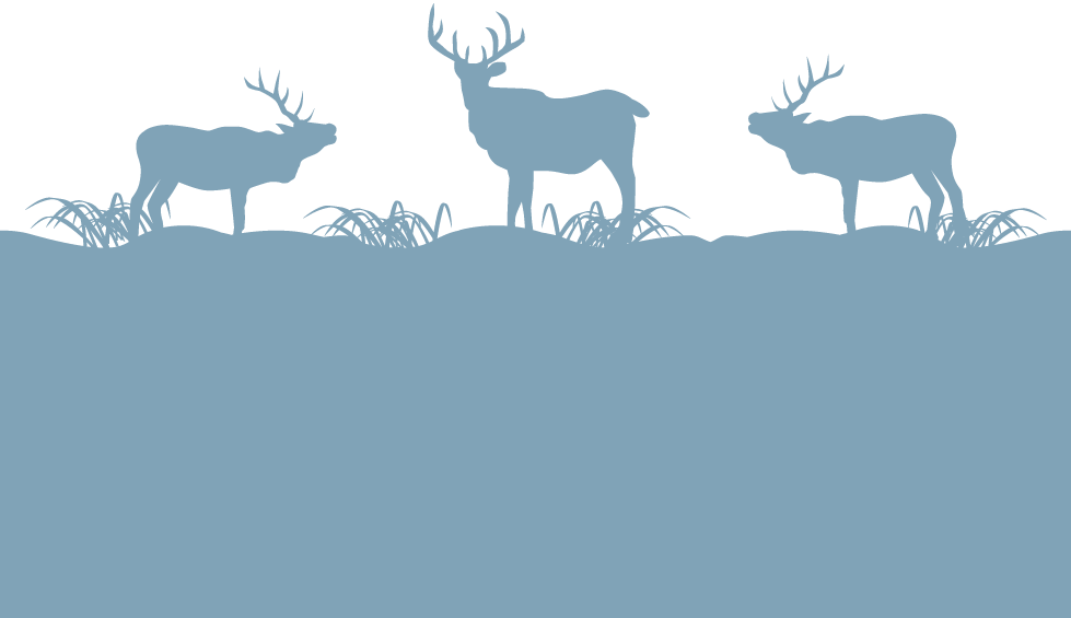 Footer Reindeer Background - Footer Background Image Png (979x565), Png Download