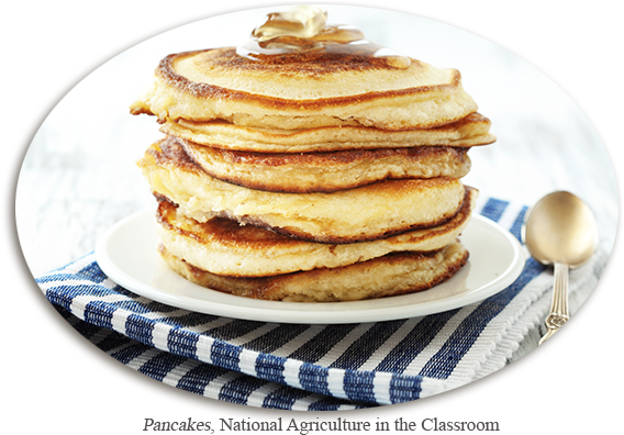 What State Of Matter Is The Pancake Batter - Lekkere Pannenkoeken Zonder Ei (600x400), Png Download