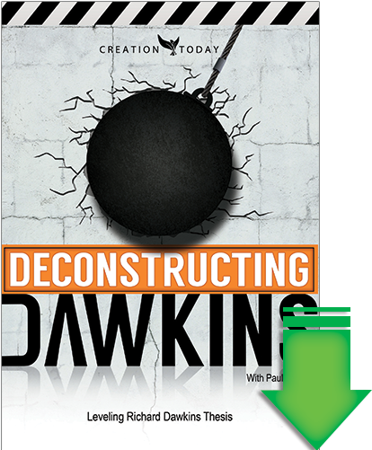 Deconstructing Dawkins - Graphic Design (500x500), Png Download