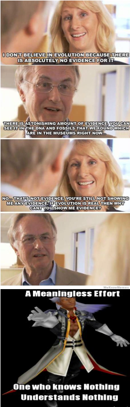 Ansem, Wendy Wright, And Richard Dawkins Debate Evolution - Girl (1280x800), Png Download