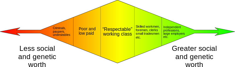 And Radically Different Understanding Of The Definition - Eugenics Diagram (800x228), Png Download