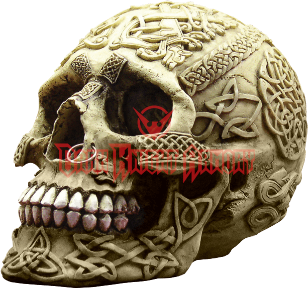 Pierced Celtic Tribal Skull - Celtic Skull (612x612), Png Download