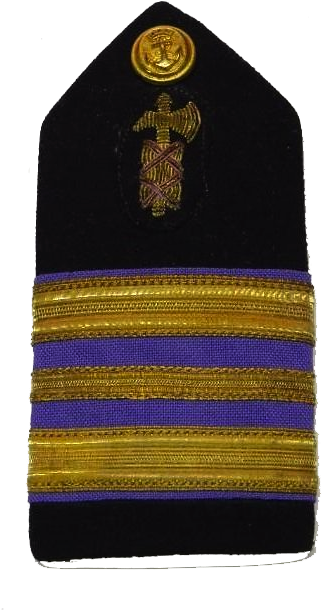 Pala De Comandante Auditor De La Armada (540x720), Png Download