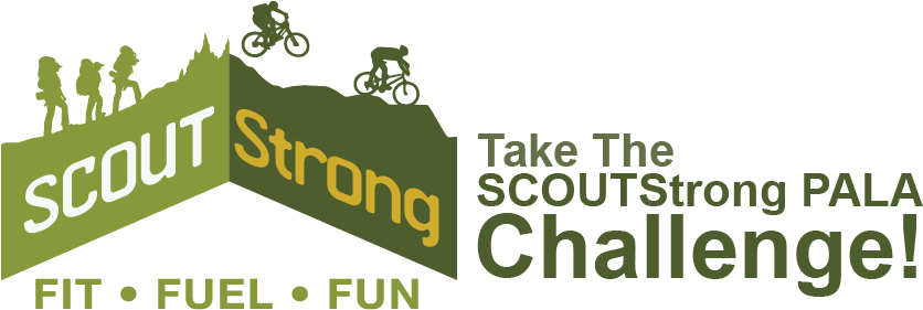 As We Start The New Year We Will Be Working To Meet - Boy Scouts Of America Letterhead (850x298), Png Download