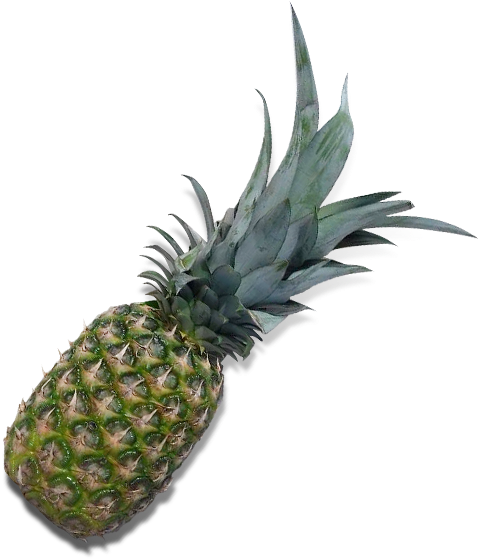 Abacaxi - Courelas Mt. (600x600), Png Download