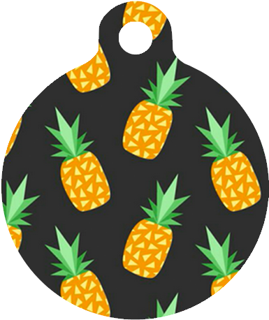 Abacaxi Fundo Preto Redondo - Grateful Dead Steal Your Face Fashion Polyester Drawstring (500x500), Png Download