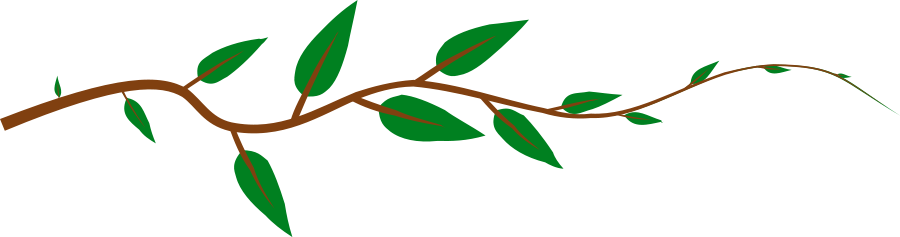 Leaf - Jungle Vines Clip Art (900x237), Png Download