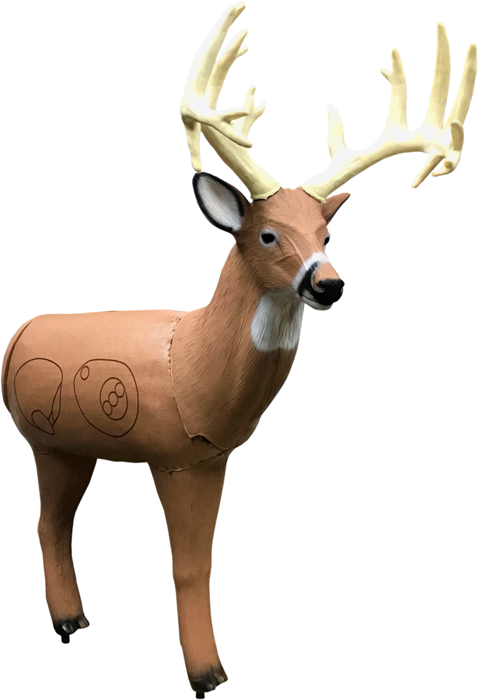 Bionic Buck Iii Field Point Classic 3d Archery Target - Archery (1024x1024), Png Download