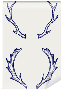 Antler Doodle (400x400), Png Download