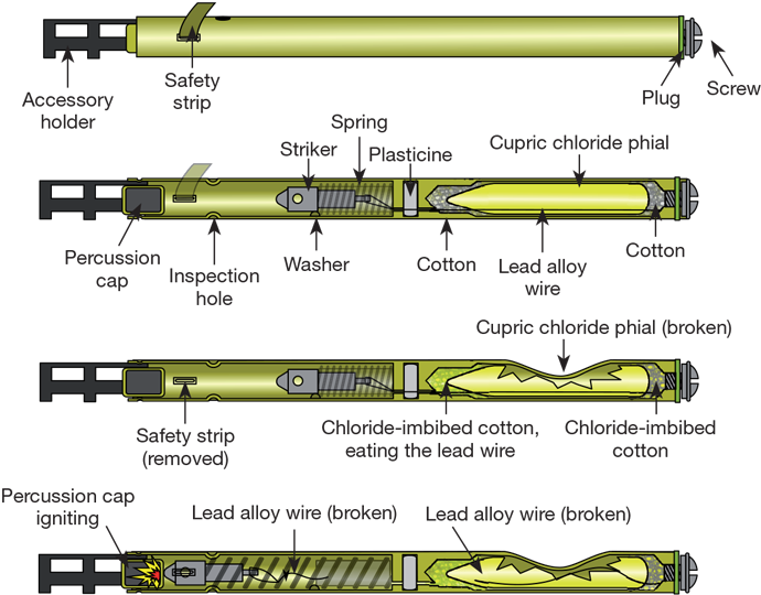 Two Other Sleeping Beauties Are Thought To Have Fallen - Pencil Detonator (720x645), Png Download