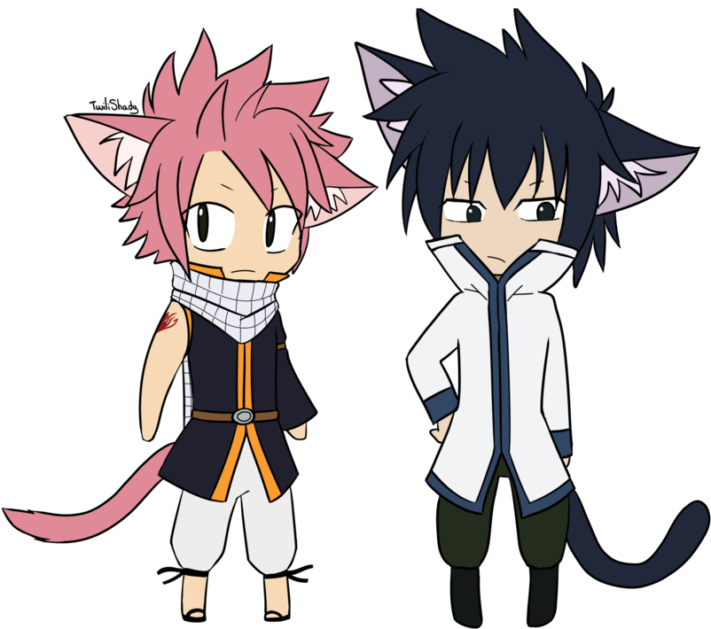 The Gallery For > Chibi Natsu And Gray - Natsu And Gray Neko (900x736), Png Download