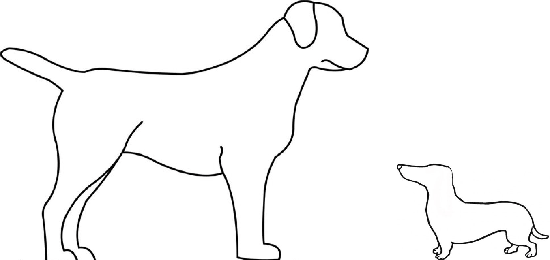Whether You Are Already Regularly Active, Or You Aspire - Dog Running Art Transparent (550x260), Png Download
