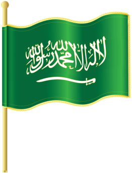 I Love My Country - Mohammed's Koran By Peter Mcloughlin (360x510), Png Download