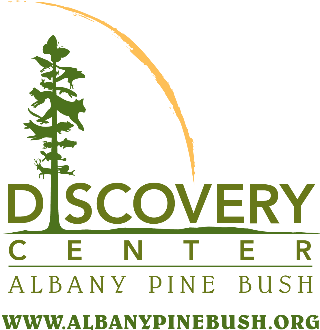 Albany Pine Bush (1109x1155), Png Download