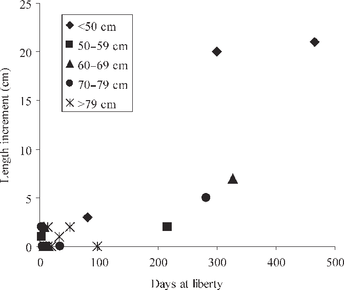 Length Increment Of Recaptured White Anglerfish, Shown - Tag (671x565), Png Download