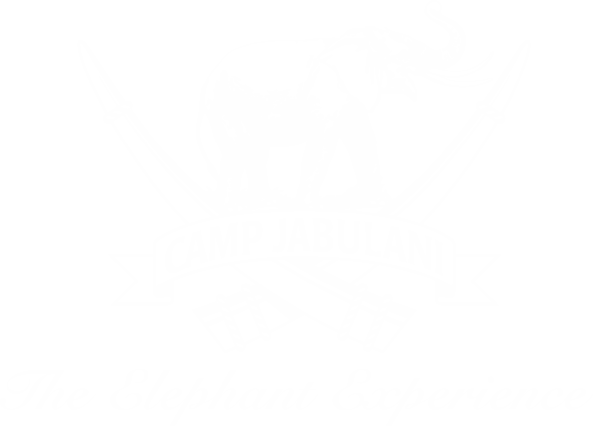 Camp Jabulani Is A Perfect Translation Of The African - Graphic Design (1194x858), Png Download