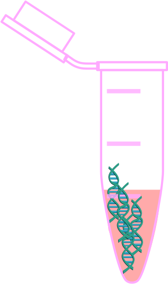 Tube With Dna (336x597), Png Download