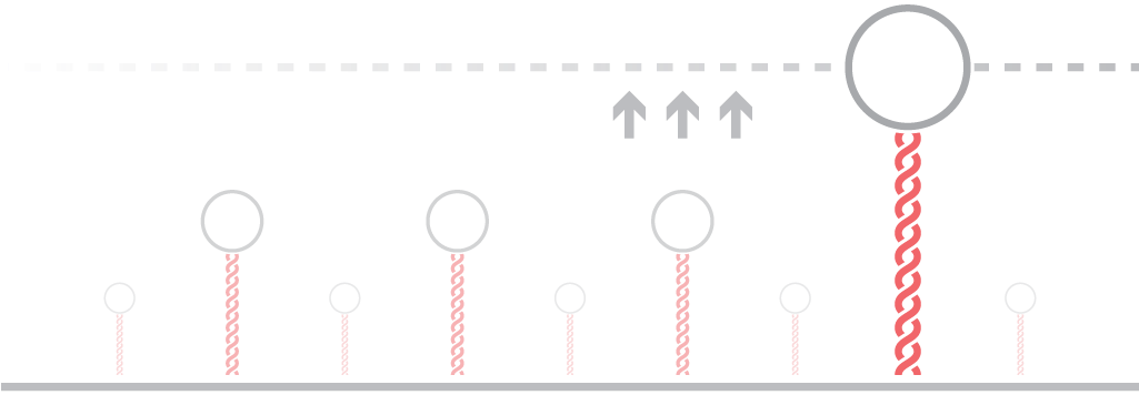 Afs Dna Rna Mechanics - Dna (1216x384), Png Download