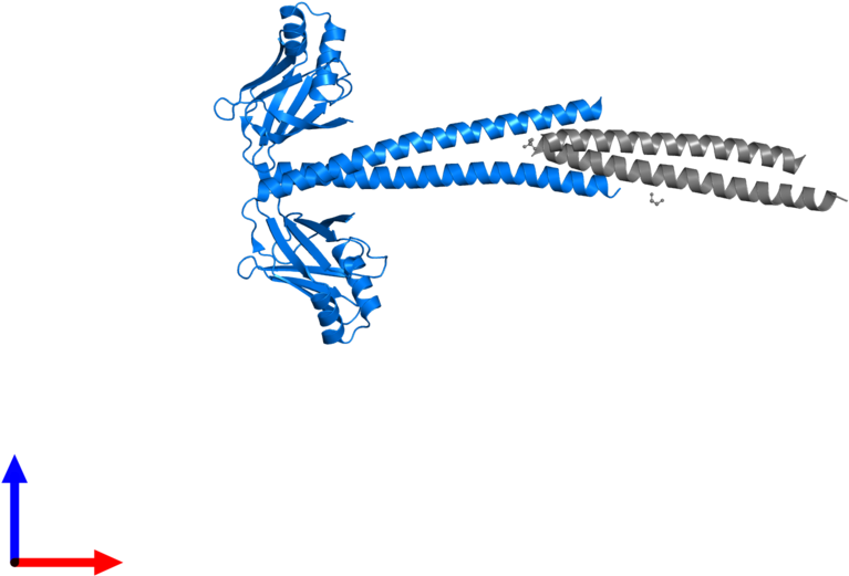 <div Class='caption-body'>pdb Entry 3mud Contains 2 - Illustration (800x800), Png Download