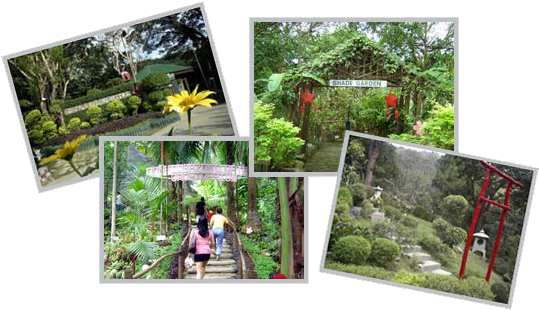 La Union Botanical Garden (538x317), Png Download