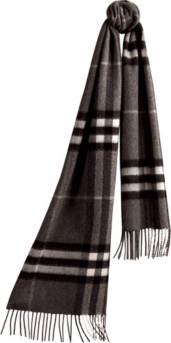 11 Burberry Scarf Full Size Png Download Seekpng