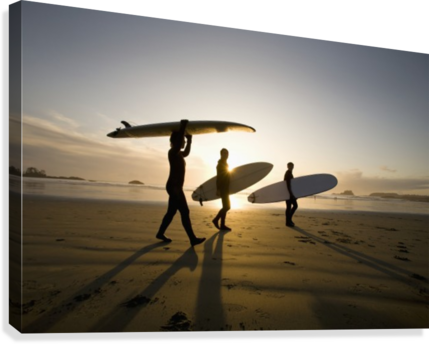 Silhouette Of Three Surfers Carrying Surfboards - Silhouette Of Three Surfers Carrying Surfboards Chesterman (429x344), Png Download