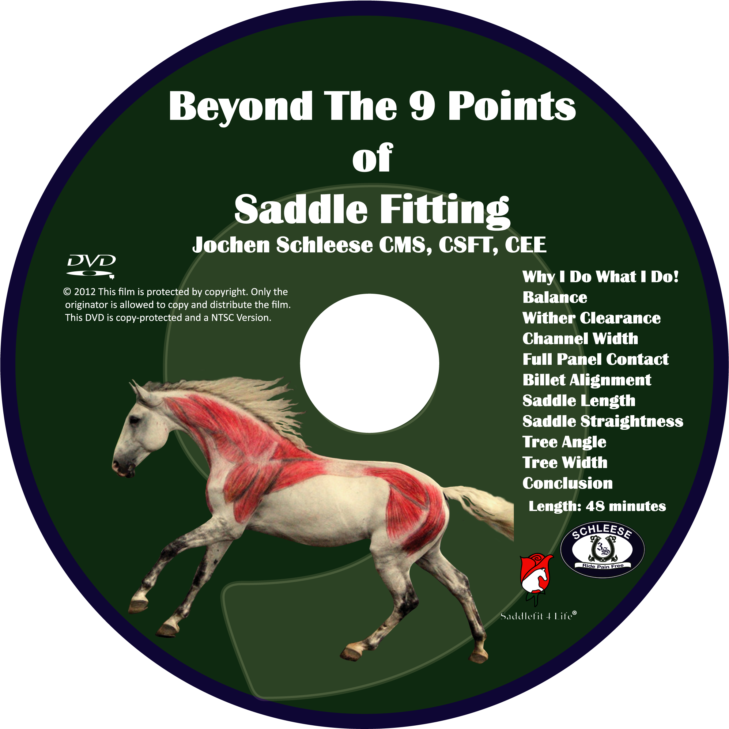 Beyond The 9 Points Of Saddle Fitting Video Download - 2017 Equus Film Festival (2500x2549), Png Download