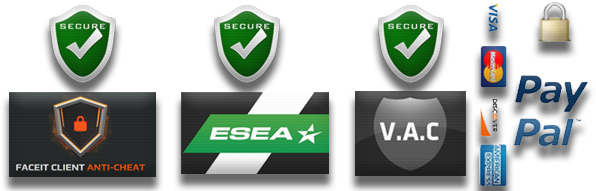 Buy Premium Cheats - Cheating In Video Games (600x200), Png Download
