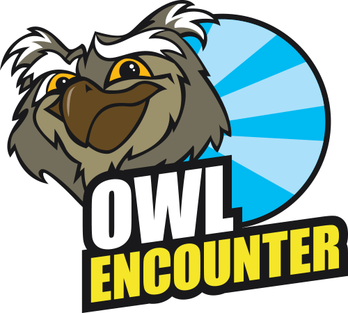 If You'd Like An Extra Special Experience With Owls - Pembrokeshire (500x450), Png Download