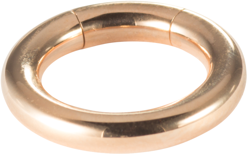 Labretpiercing Septumpiercing Segmentring Brillant - Nipple Piercing (1280x1280), Png Download