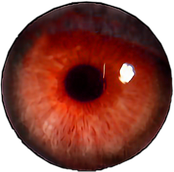 Eye Png Red Edit Transparent Tumblrfreetoedit - Eyes Png For Picsart (356x352), Png Download