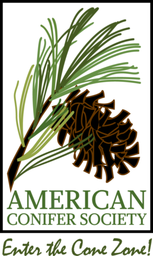 From A To Z To Your Backyard - American Conifer Society (300x501), Png Download