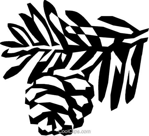 Conifer Royalty Free Vector Clip Art Illustration - Clip Art (480x438), Png Download