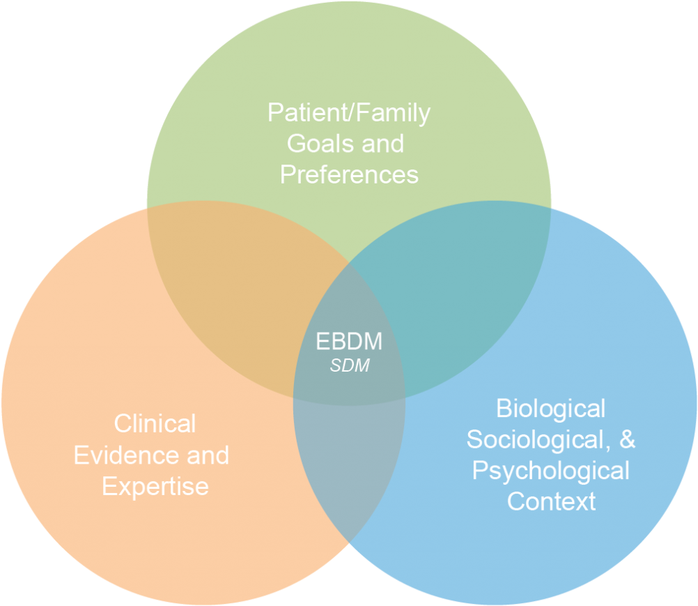 Why Evidence-based Practices Are Important - Evidence Based Model (1024x890), Png Download