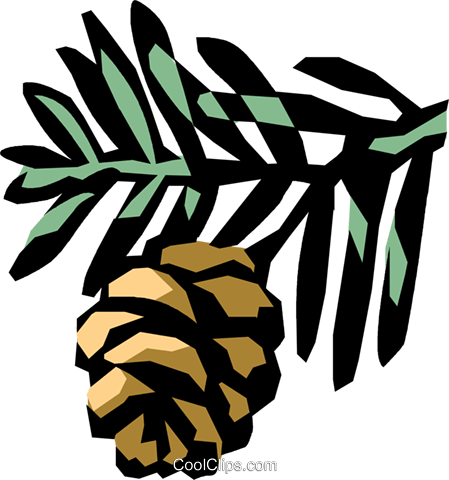 Conifer Royalty Free Vector Clip Art Illustration - Pine Branch Clip Art (449x480), Png Download