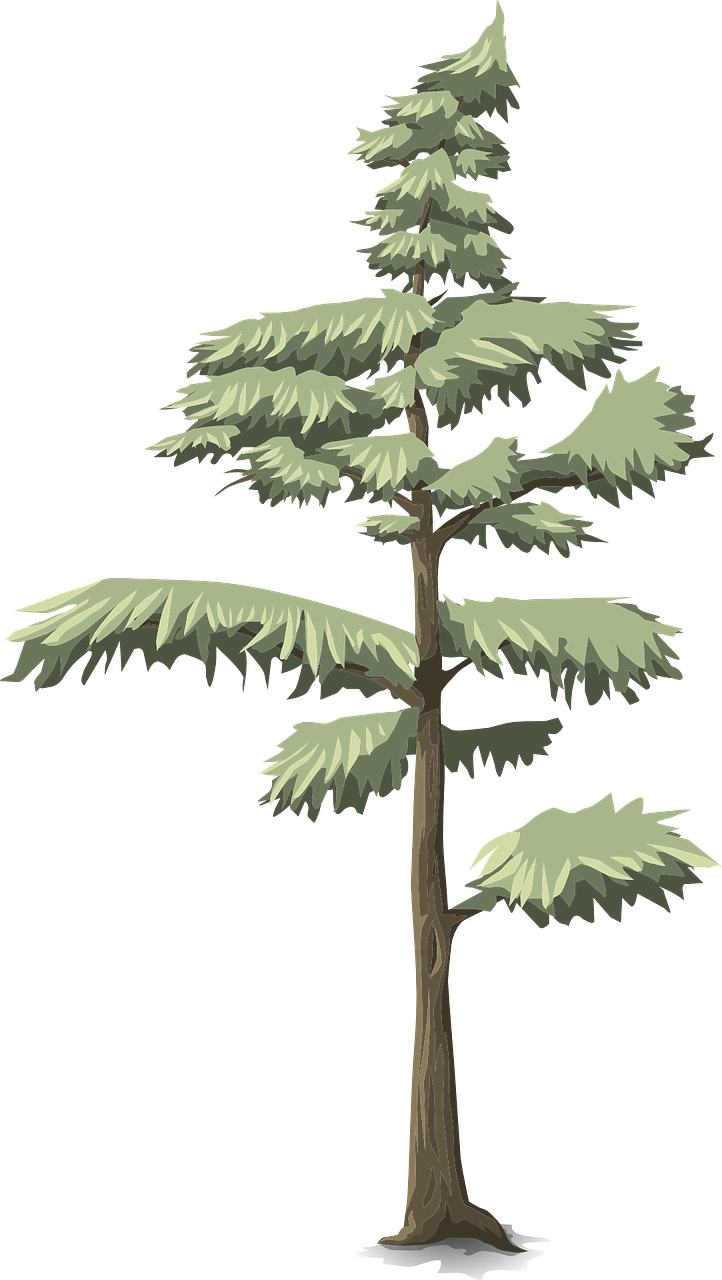 Park, Tree, Conifer, Green, Nature, Forest - Niedliche Rosa Und Blaue Dinosaurier, Spaß, Fleecedecke (722x1280), Png Download