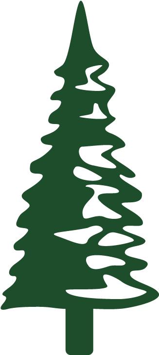 Christmas Tree (900x900), Png Download