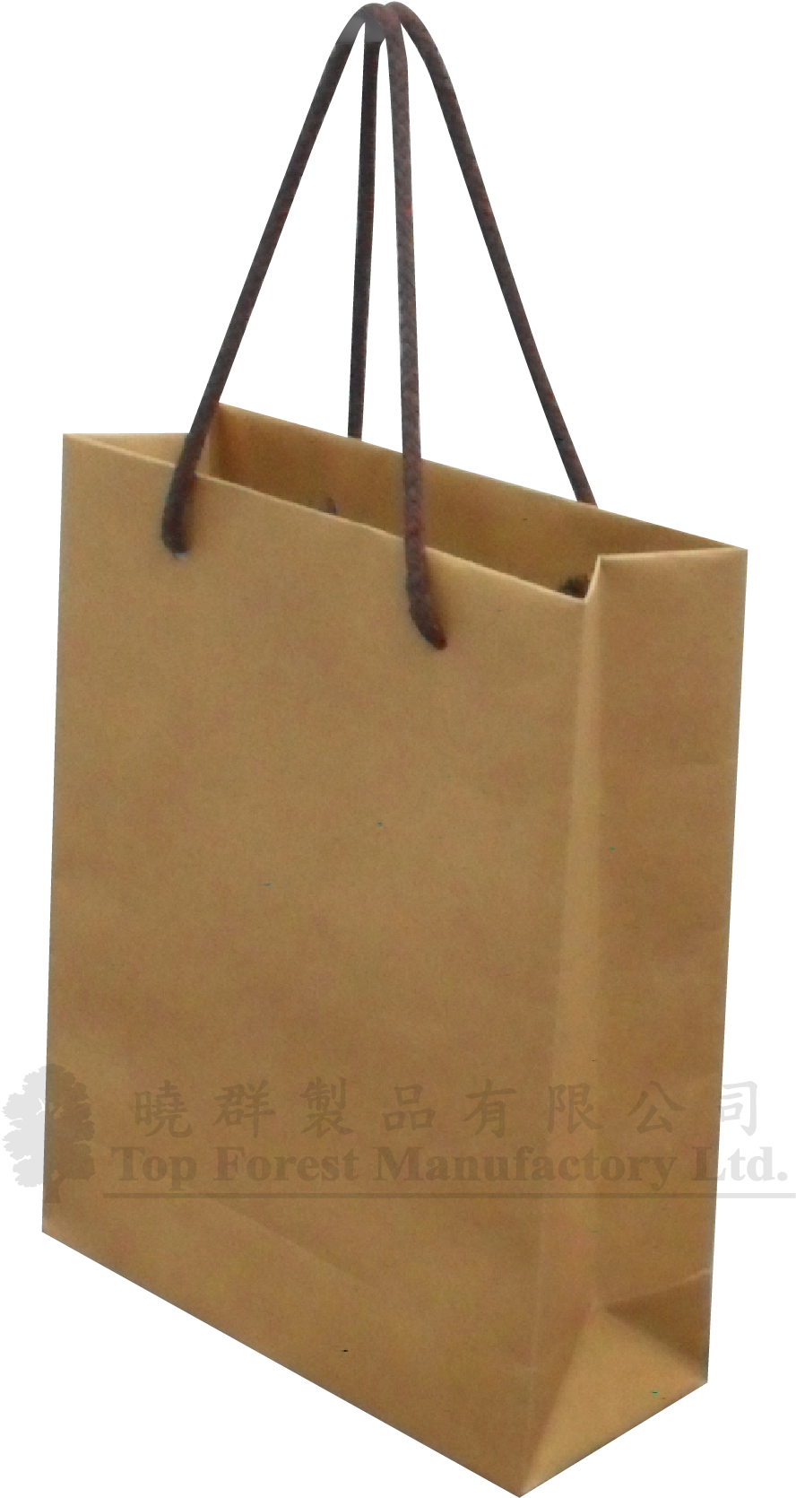 Extra Small Bag - Tote Bag (926x1741), Png Download