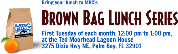 Brown Bag Lunch - Oval (650x200), Png Download